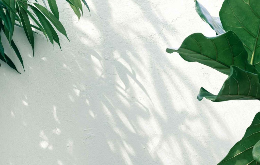 plant phenotyping